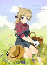 Rule 34 | 00s, 1girl, animal ears, bad id, bad pixiv id, berry, braid, cat ears, cat tail, gloves, hat, kisetsu, lynette bishop, overalls, plaid, single braid, sleeves rolled up, solo, strike witches, tail, world witches series