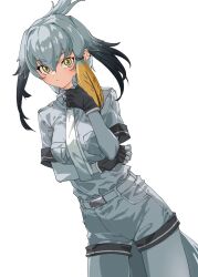 Rule 34 | 1girl, arm under breasts, belt, black gloves, blonde hair, bodystocking, breast pocket, commentary, cowboy shot, fingerless gloves, gloves, grey hair, grey shirt, grey shorts, hair between eyes, hand on own chin, head wings, highres, kemono friends, looking at viewer, medium hair, multicolored hair, necktie, pocket, shirt, shoebill (kemono friends), short shorts, short sleeves, shorts, simple background, single sidelock, solo, tanabe (fueisei), white background, white necktie, wings, yellow eyes