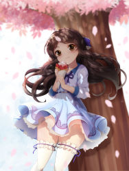 Rule 34 | 1girl, belt, belt buckle, blue belt, blue bow, blue dress, blue ribbon, blurry, blurry background, blush, bow, brown eyes, brown hair, buckle, closed mouth, commentary request, crepe, day, depth of field, dress, eating, flower, food, frilled thighhighs, frills, hair bow, head tilt, highres, holding, holding food, idolmaster, idolmaster cinderella girls, koflif, long hair, long sleeves, looking at viewer, outdoors, petals, pink flower, ribbon, solo, tachibana arisu, thighhighs, tree, very long hair, white thighhighs