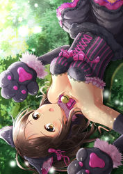 Rule 34 | 1girl, animal ear fluff, animal ears, animal hands, ayase honoka, bell, black hair, blush, breasts, brown eyes, cat ears, cat girl, cat paws, cleavage, corset, elbow gloves, fang, gloves, grass, hair ribbon, highres, idolmaster, idolmaster cinderella girls, jingle bell, looking at viewer, lying, medium breasts, nagmilk, on back, open mouth, parted bangs, paw gloves, pink ribbon, ribbon, solo, upside-down