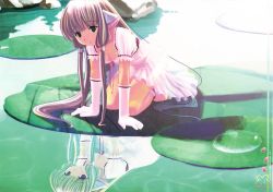 Rule 34 | 00s, barefoot, breasts, brown hair, chii, chobits, cleavage, elbow gloves, feet, gloves, kneeling, koutaro, lily pad, long hair, see-through, very long hair