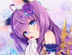 Rule 34 | 1girl, ahoge, animal ears, blue eyes, blurry, blush, byulzzi, cat ears, close-up, closed mouth, depth of field, detached sleeves, flower, gift, hair between eyes, hair flower, hair ornament, hand up, holding, holding gift, hydrangea, light smile, long hair, looking at viewer, official art, outdoors, purple flower, purple hair, purple rose, rose, scissors, scissors hair ornament, smile, solo, unleashed, upper body