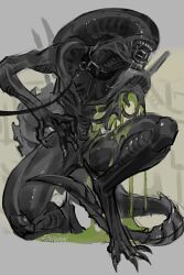 Rule 34 | 1other, alien (series), artist name, belt collar, blood, claws, collar, extra mouth, green blood, highres, injury, leash, monster, open mouth, other focus, rouwan, simple background, solo, tail, teeth, xenomorph