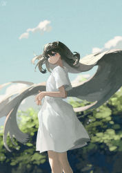 Rule 34 | 1girl, absurdly long hair, blue eyes, blurry, blurry background, brown hair, commentary request, day, dress, feet out of frame, floating hair, highres, long hair, original, outdoors, parted lips, potg (piotegu), short sleeves, solo, very long hair, white dress