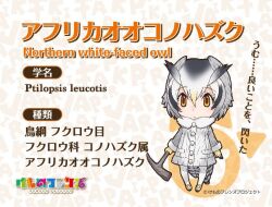 Rule 34 | 1girl, animal ears, extra ears, kemono friends, looking at viewer, northern white-faced owl (kemono friends), official art, simple background, solo, tail, yoshizaki mine