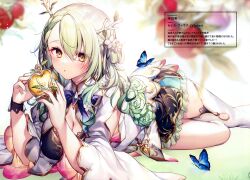 Rule 34 | 1girl, absurdres, blurry, blurry background, braid, breasts, bug, butterfly, ceres fauna, chestnut mouth, cleavage, flower, food, fruit, green flower, green hair, hair between eyes, hair flower, hair ornament, highres, holding, holding food, holding fruit, hololive, hololive english, horns, insect, komeshiro kasu, large breasts, long hair, long sleeves, looking at viewer, lying, mole, mole under eye, on side, parted lips, scan, thighhighs, virtual youtuber, white flower, white thighhighs, wide sleeves, yellow eyes