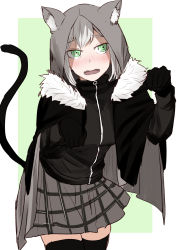 Rule 34 | 1girl, animal ears, animal hood, benbe, black gloves, black thighhighs, blush, breasts, cat hood, cat tail, cloak, cowboy shot, embarrassed, fake animal ears, fangs, fate (series), fur collar, gloves, gray (fate), green background, green eyes, grey hair, grey skirt, head tilt, highres, hood, hood up, jacket, jersey, jitome, long sleeves, looking at viewer, lord el-melloi ii case files, nose blush, open clothes, open jacket, open mouth, paw pose, plaid, plaid skirt, raised eyebrows, red jacket, simple background, sketch, skirt, small breasts, standing, tail, teeth, thighhighs, wavy mouth, zettai ryouiki