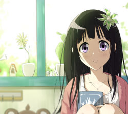 Rule 34 | 1girl, black hair, blunt bangs, blurry, book, cactus, chitanda eru, closed mouth, collarbone, commentary request, day, depth of field, doll, flower, hair flower, hair ornament, highres, holding, holding book, hyouka, indoors, jacket, jewelry, knees up, long hair, looking at viewer, necklace, pink jacket, plant, potted plant, purple eyes, shirt, solo, tyts, white shirt, window