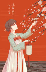 Rule 34 | 1girl, 2024, absurdres, alternate costume, branch, brown hair, chinese clothes, chinese commentary, collarbone, commentary, floral print, flower, from side, green shirt, hair bun, hair ornament, hairpin, hand up, happy new year, highres, holding, holding flower, holding lantern, lantern, long skirt, looking up, lucia (punishing: gray raven), new year, paper lantern, pink flower, print shirt, profile, punishing: gray raven, red background, red eyes, ruqun, shirt, single hair bun, skirt, smile, solo, tassel, updo, weibo logo, weibo watermark, white skirt, yume 3327