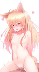 Rule 34 | 1boy, 1girl, absurdres, animal ears, bad id, bad pixiv id, blonde hair, blush, breasts, breath, elin, girl on top, heart, hetero, highres, long hair, md5 mismatch, nipples, nude, penis, pussy, red eyes, septet (zrca janne), sex, simple background, small breasts, solo focus, tera online, uncensored, vaginal, white background