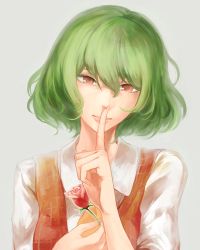 Rule 34 | 1girl, ascot, collared shirt, finger to mouth, flower, green hair, highres, holding, holding flower, kageyosi, kazami yuuka, lips, looking at viewer, plaid, plaid vest, red eyes, shirt, short hair, shushing, simple background, solo, touhou, vest, yellow ascot