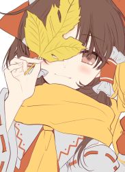 Rule 34 | 1girl, blush, brown eyes, brown hair, commentary request, hair tubes, hakurei reimu, highres, holding, holding leaf, leaf, light smile, looking at viewer, poprication, scarf, solo, touhou, upper body, white background, wide sleeves, yellow neckwear, yellow scarf