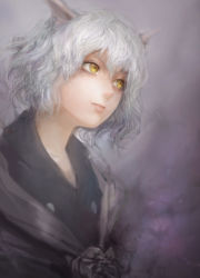 Rule 34 | androgynous, animal ears, bad id, bad pixiv id, cat ears, gender request, hunter x hunter, miche, neferpitou, nose, silver hair, solo, yellow eyes