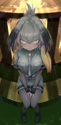 Rule 34 | 10s, 1girl, backlighting, belt, between breasts, black footwear, black gloves, bodystocking, breast pocket, breasts, closed mouth, collared shirt, commentary, deku suke, expressionless, fingerless gloves, fisheye, fishing, full body, gloves, grey hair, grey necktie, grey shirt, grey shorts, hair between eyes, hair intakes, hand on own thigh, hand rest, highres, kemono friends, knees together feet apart, layered sleeves, long hair, long sleeves, looking at viewer, looking up, low ponytail, multicolored hair, necktie, necktie between breasts, orange hair, outdoors, pocket, railing, shirt, shoebill (kemono friends), shoes, short over long sleeves, short sleeves, shorts, side ponytail, sidelocks, sitting, solo, thigh gap, twilight, yellow eyes
