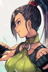 Rule 34 | 1girl, black hair, breasts, closed mouth, collar, dragon quest, dragon quest xi, from side, green collar, hungry clicker, long hair, martina (dq11), ponytail, simple background, solo, square enix