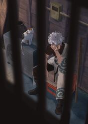 Rule 34 | 1boy, absurdres, air conditioner, alley, belt, boots, cat, commentary, gintama, hand on own chin, head rest, highres, japanese clothes, outdoors, sakata gintoki, shooogun, sitting, sword, weapon, white hair, wooden sword