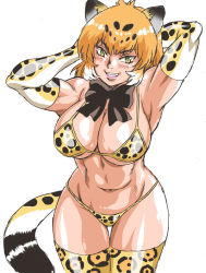Rule 34 | 1girl, animal ears, armpits, bikini, black bow, black bowtie, bow, bowtie, breasts, cleavage, commentary request, elbow gloves, gloves, jaguar (kemono friends), jaguar ears, jaguar print, jaguar tail, kemono friends, lipstick, looking at viewer, makeup, manabe jouji, micro bikini, navel, orange hair, print bikini, print gloves, simple background, smile, solo, stomach, swimsuit, tail, thighhighs, toned, v-shaped eyebrows, white background, yellow eyes