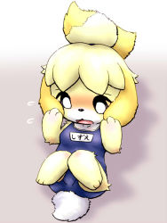 Rule 34 | 1girl, alternate costume, animal crossing, animal ears, animal hands, beige background, black sclera, blonde hair, blue one-piece swimsuit, blush, breasts, character name, collarbone, colored sclera, dog ears, dog tail, embarrassed, feet, female focus, flying sweatdrops, full body, furry, furry female, furuya muku, hair tie, hands up, isabelle (animal crossing), jpeg artifacts, knees together feet apart, looking down, lying, nintendo, on back, one-piece swimsuit, open mouth, school swimsuit, short hair, simple background, small breasts, solo, swimsuit, tail, text focus, translated, white eyes