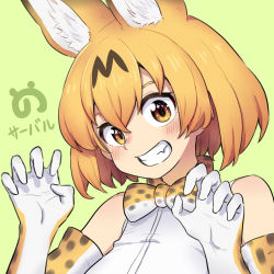 Rule 34 | 1girl, animal ear fluff, animal ears, bare shoulders, blonde hair, blush, bow, bowtie, claw pose, commentary, elbow gloves, extra ears, fang, gloves, green background, grin, hair between eyes, japari symbol, kemono friends, looking at viewer, oogushi aritomo, orange eyes, portrait, print bow, print bowtie, print gloves, serval (kemono friends), serval print, shirt, short hair, simple background, sleeveless, sleeveless shirt, smile, solo, star (symbol), star in eye, symbol in eye, teeth, traditional bowtie, white shirt