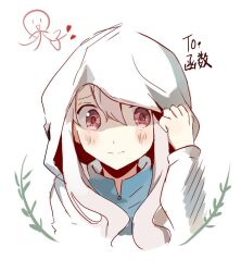Rule 34 | 1girl, adjusting hood, blue dress, blush, chinese text, closed mouth, collared dress, commentary request, cropped torso, dress, english text, hair between eyes, hair over shoulder, hand up, heart, hood, hood up, hoodie, kagerou project, kozakura marry, long hair, long sleeves, looking at viewer, mekakucity actors, otorigg, pink eyes, shaded face, simple background, sketch, smile, solo, stick figure, upper body, wavy hair, white background, white hair, white hoodie