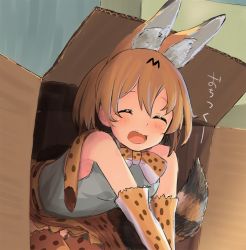 Rule 34 | 10s, 1girl, :d, ^ ^, animal ears, bare shoulders, blush, bow, bowtie, box, cardboard box, cat ears, cat tail, closed eyes, commentary, elbow gloves, eyelashes, facing viewer, fang, gloves, happy, in box, in container, indoors, kemono friends, open mouth, orange hair, serval (kemono friends), serval print, serval tail, shinonome ukyu, shirt, short hair, sitting, skirt, sleeveless, sleeveless shirt, smile, socks, solo, striped tail, tail, thighhighs, translated, |d