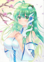 Rule 34 | 1girl, absurdres, ahoge, antenna hair, bare shoulders, blush, breasts, cherry blossoms, closed mouth, detached sleeves, flower, frog hair ornament, green eyes, green hair, hair between eyes, hair ornament, hair tubes, highres, kochiya sanae, large breasts, long hair, marker (medium), petals, shirt, snake hair ornament, solo, touhou, traditional media, tsugumi (tky-fam), upper body, white background, white shirt
