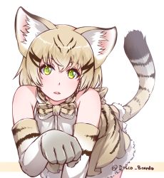 Rule 34 | 10s, 1girl, all fours, animal ears, cat ears, cat tail, commentary, disco brando, elbow gloves, fang, gloves, green eyes, kemono friends, looking at viewer, parted lips, paw pose, sand cat (kemono friends), sand cat print, short hair, silver hair, simple background, solo, tail, twitter username, white background