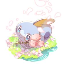 Rule 34 | :&gt;, aqua eyes, bright pupils, closed mouth, commentary request, creatures (company), falling petals, flower, game freak, gen 8 pokemon, grass, highres, holding, holding flower, kuroiro otento, looking at viewer, nintendo, no humans, petals, pink flower, pokemon, pokemon (creature), ripples, sitting, smile, sobble, solo, tulip, water, white pupils