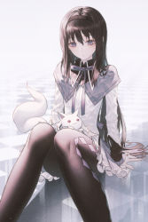 Rule 34 | 1girl, akemi homura, argyle, argyle clothes, argyle legwear, arm support, black hair, black pantyhose, capelet, duplicate, feet out of frame, hairband, knees together feet apart, kyubey, long hair, long sleeves, magical girl, mahou shoujo madoka magica, muted color, on floor, pantyhose, photoshop (medium), pixel-perfect duplicate, pleated skirt, purple eyes, seiza, sitting, sitting on person, skirt, solo, wanke