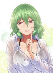 Rule 34 | 1girl, bad id, bad pixiv id, black bra, bra, breasts, cleavage, collarbone, commentary request, green hair, grin, hair between eyes, hand up, highres, index finger raised, kazami yuuka, large breasts, long sleeves, looking at viewer, red eyes, see-through, shirt, short hair, smile, solo, touhou, underwear, upper body, white shirt, y2