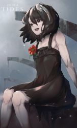Rule 34 | 1girl, anita (arknights), arknights, bare shoulders, black dress, black eyes, black hair, boutonniere, commentary, dress, driftingtiger, english commentary, flower, hair between eyes, highres, medium hair, messy hair, open mouth, red flower, sitting, solo