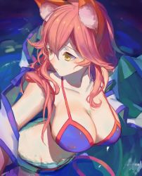 Rule 34 | 10s, 1girl, animal ears, bikini, blue bikini, breasts, butt crack, cleavage, fate/extra, fate/grand order, fate (series), fox ears, highres, large breasts, looking to the side, pink hair, red cucumber, solo, swimsuit, tamamo (fate), tamamo no mae (fate/extra), tamamo no mae (swimsuit lancer) (fate), tamamo no mae (swimsuit lancer) (third ascension) (fate), wading, water, yellow eyes