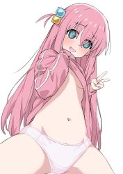 Rule 34 | 1girl, 36kypop, @ @, alternate breast size, blue eyes, bocchi the rock!, breasts, clothes lift, cube hair ornament, gotoh hitori, hair bobbles, hair ornament, long hair, navel, no bra, panties, pink hair, shirt lift, small breasts, underwear, v, white background