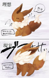 Rule 34 | 2koma, animal focus, bad id, bad pixiv id, banchiku, comic, covered face, creatures (company), eevee, closed eyes, fluffy, full body, game freak, gen 1 pokemon, grey background, hand up, highres, japanese text, multiple views, nintendo, no humans, open mouth, pokemon, pokemon (creature), simple background, sitting, speech bubble, standing, text focus, translation request, wind