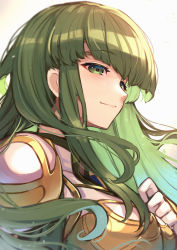 Rule 34 | 1girl, armor, closed mouth, fire emblem, fire emblem: mystery of the emblem, fire emblem echoes: shadows of valentia, green eyes, green hair, hand on own chest, highres, long hair, looking at viewer, nakabayashi zun, nintendo, palla (fire emblem), shoulder armor, simple background, smile, upper body, white background