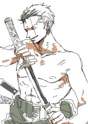Rule 34 | 1boy, earrings, haramaki, highres, jewelry, male focus, one-eyed, one piece, roronoa zoro, topless male, simple background, solo, sword, weapon