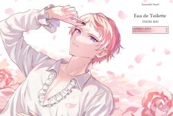 Rule 34 | 1boy, collared shirt, commentary request, ensemble stars!, flower, frilled sleeves, frills, highres, holding, itsuki shu, long sleeves, looking at viewer, lying, male focus, on back, parted lips, petals, pink flower, pink hair, pink rose, purple eyes, rose, shirt, short hair, solo, upper body, wednesday 108, white shirt