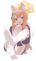 Rule 34 | 1girl, absurdres, animal ear fluff, animal ears, blue archive, blue eyes, blush, feet, flower, foot focus, foreshortening, gym shorts, gym uniform, hair between eyes, hair flower, hair ornament, hairband, halo, headband, highres, hugging own legs, jacket, kneehighs, knees to chest, knees up, legs, legs together, legs up, long hair, looking at viewer, mari (blue archive), mari (track) (blue archive), multicolored clothes, multicolored jacket, no shoes, official alternate costume, open mouth, orange hair, ponytail, shorts, sitting, sleeves past wrists, socks, solo, sportswear, toes, track jacket, two-tone jacket, white flower, white hairband, white headband, white socks, yu yomota