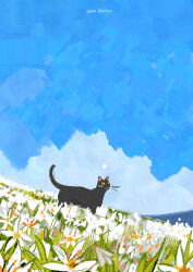 Rule 34 | animal, animal focus, artist name, black cat, blue sky, cat, cloud, commentary, day, english commentary, field, flower, flower field, gatoiberico, grass, highres, no humans, original, outdoors, sky, white flower