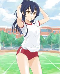 Rule 34 | 10s, 1girl, alternate hairstyle, arms up, blue hair, buruma, cloud, commentary request, cowboy shot, day, hair between eyes, long hair, looking at viewer, love live!, love live! school idol festival, love live! school idol project, mouth hold, outdoors, ponytail, school, shirt, sky, solo, sonoda umi, standing, tetopetesone, tree, tying hair, underwear, white shirt, yellow eyes