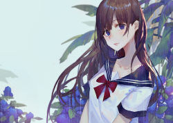 Rule 34 | 1girl, blue sailor collar, blurry, blurry background, brown hair, closed mouth, commentary request, depth of field, flower, highres, kuroduki (pieat), long hair, looking at viewer, neck ribbon, original, purple eyes, purple flower, rain, red ribbon, ribbon, sailor collar, shirt, short sleeves, solo, upper body, wet, wet clothes, wet hair, white shirt