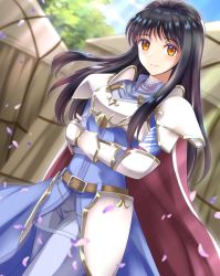 Rule 34 | 1girl, armor, astrid (fire emblem), black hair, blue coat, blue gloves, breastplate, cape, closed mouth, coat, cowboy shot, crossed arms, day, dutch angle, faulds, fingerless gloves, fire emblem, fire emblem: radiant dawn, floating hair, gloves, highres, kakiko210, long hair, looking at viewer, nintendo, outdoors, pants, petals, red cape, shoulder armor, smile, solo, standing, straight hair, tent, waist cape, white pants, yellow eyes