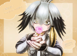 Rule 34 | 10s, 1girl, black gloves, black hair, breast pocket, closed mouth, collared shirt, commentary request, fingerless gloves, flower, gloves, grey hair, grey necktie, grey shirt, hair between eyes, hands up, highres, holding, holding flower, kemono friends, layered sleeves, long hair, long sleeves, looking at viewer, low ponytail, multicolored hair, necktie, orange hair, own hands together, pink flower, pink rose, pocket, rose, shirt, shoebill (kemono friends), short over long sleeves, short sleeves, side ponytail, smile, solo, stealstitaniums, translation request, upper body, yellow eyes