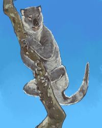 Rule 34 | animal focus, blue sky, branch, commentary, day, highres, looking at viewer, mossacannibalis, no humans, original, outdoors, prehistoric animal, sky, thylacoleo