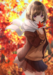 Rule 34 | 1girl, absurdres, arm up, autumn, blazer, blurry, blurry background, brown eyes, brown hair, brown jacket, brown skirt, commentary, contrapposto, cowboy shot, day, depth of field, enpera, highres, holding, holding leaf, jacket, leaf, light particles, long sleeves, maple leaf, open clothes, open jacket, original, outdoors, pleated skirt, scarf, school uniform, shigure0730, short hair, skirt, smile, solo, standing, sweater, symbol-only commentary, tree, white scarf, wind, wind lift