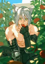 Rule 34 | 1boy, absurdres, animal ears, warrior of light (ff14), cat boy, cat ears, dappled sunlight, eating, elbow gloves, fan mu zhang, final fantasy, final fantasy xiv, fingerless gloves, food, gloves, green eyes, highres, holding, holding food, holding vegetable, looking at viewer, male focus, miqo&#039;te, navel, open mouth, pants, short hair, slit pupils, solo, squatting, sunlight, sweat, teeth, tomato, topless male, vegetable, white hair