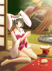 Rule 34 | 1girl, absurdres, animal ears, bird, blush, food, green hair, highres, iori (tail tale), japanese clothes, louis&amp;visee, ponytail, rabbit ears, rabbit tail, red eyes, sitting, socks, solo, tail, tail tale, wariza