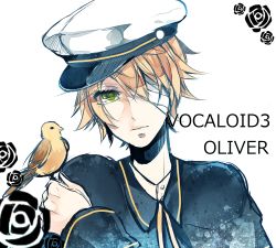 Rule 34 | 1boy, bad id, bad pixiv id, bandages, bandage over one eye, bird, blonde hair, comaco, green eyes, hat, highres, james (vocaloid), male focus, oliver (vocaloid), one eye covered, sailor hat, solo, vocaloid