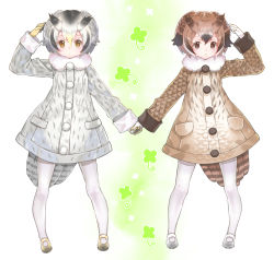 Rule 34 | 10s, 2girls, :|, bad id, bad pixiv id, black footwear, black gloves, black hair, blonde hair, blush, brown coat, brown eyes, brown hair, buttons, clenched hand, closed mouth, clover, clover (flower), coat, dot nose, eurasian eagle owl (kemono friends), expressionless, floral background, flower, four-leaf clover, full body, fumako, fur collar, gloves, gradient footwear, gradient hair, green background, grey coat, grey footwear, grey hair, hair between eyes, hand on head, hand up, head wings, holding hands, kemono friends, large buttons, legs apart, light brown hair, long sleeves, looking at viewer, mary janes, multicolored background, multicolored clothes, multicolored footwear, multicolored gloves, multicolored hair, multiple girls, northern white-faced owl (kemono friends), outline, pantyhose, parted lips, pocket, shoes, short hair, sleeve cuffs, standing, tail, tareme, triangle mouth, two-tone footwear, white background, white footwear, white gloves, white hair, white legwear, white outline, wings, yellow footwear, yellow gloves