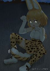 Rule 34 | + +, 10s, 1girl, 2017, animal ears, bare shoulders, blonde hair, blush, bow, bowtie, breasts, cat ears, cat tail, dated, elbow gloves, field, gloves, grass, kemono friends, mokyutan, night, open mouth, serval (kemono friends), serval print, serval tail, shirt, short hair, sitting, skirt, sleeveless, smile, solo, tail, thighhighs, white gloves